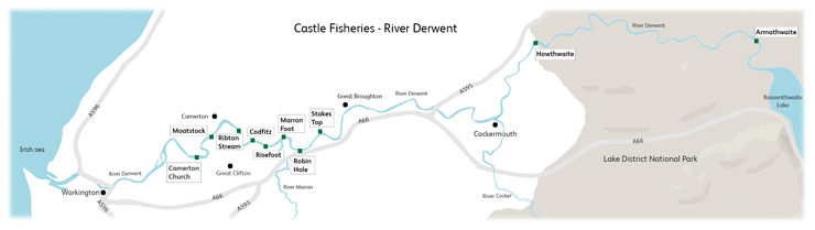 Castle Fisheries the River Derwent
